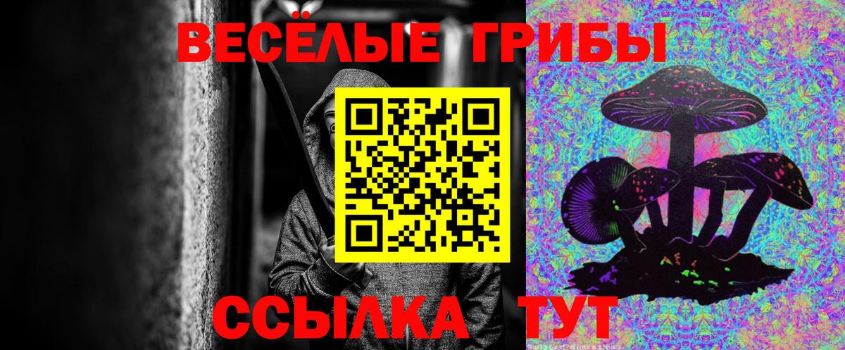 Горячий Ключ  Галлюциногенные грибы Psilocybe  Галлюциногенные грибы мицелий  Вход с VPN 